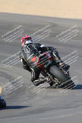 media/Nov-12-2023-SoCal Trackdays (Sun) [[5d1fba4e7d]]/Turn 10 Backside (115pm)/